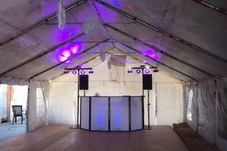Festi Concept - 5