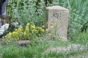 Domaine de La Pépinière - 11