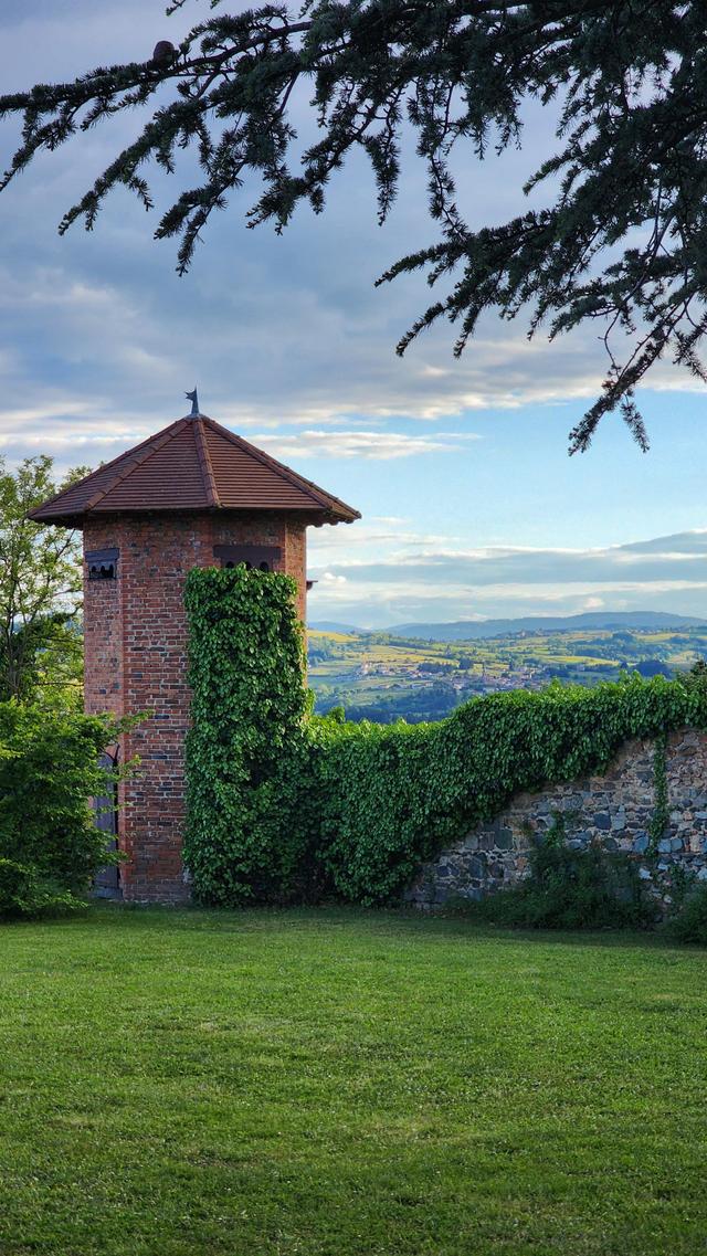 Domaine des Grands Cèdres - 2