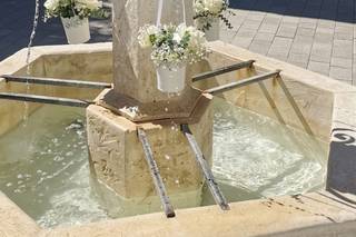 Jardin Secret - 7