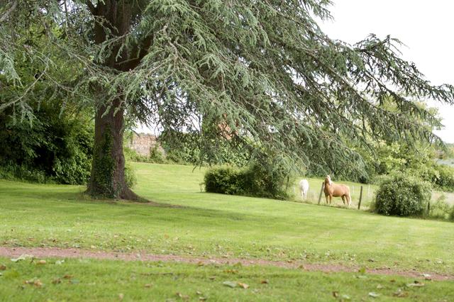 Domaine des Grands Cèdres - 3