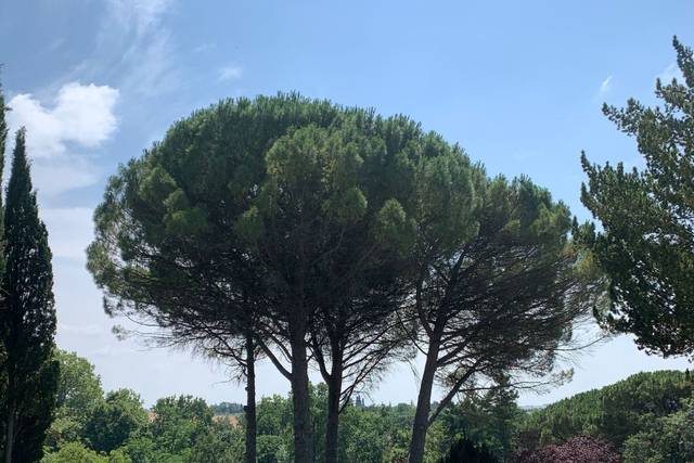Domaine de Gailhaguet 4