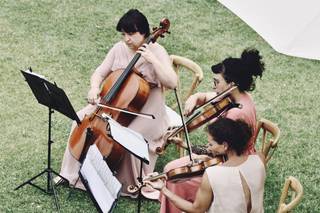 Quatuor en Cévennes - 6