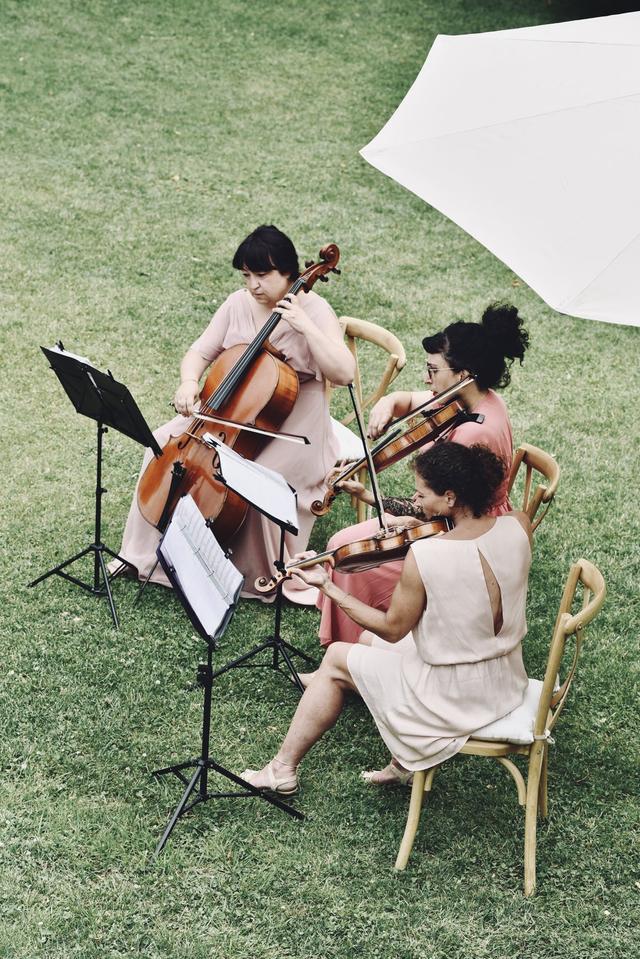 Quatuor en Cévennes - 2