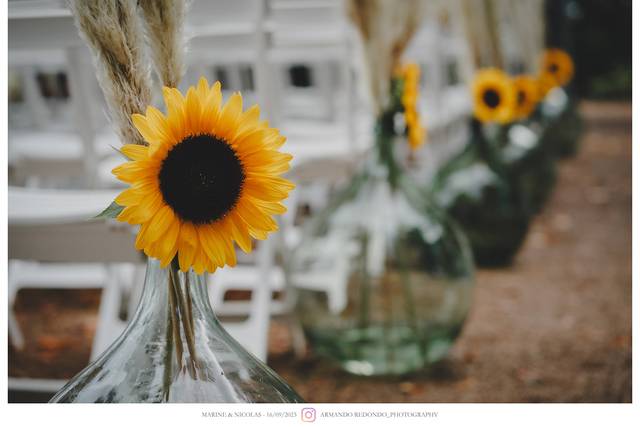 Au paradis des fleurs 1