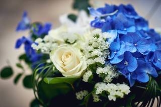 Nuance Flor - 18