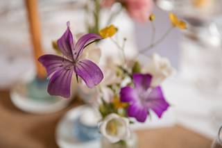 Les Fleurs Bleues - 5