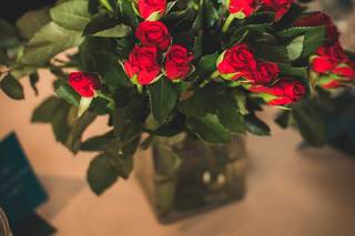 BlackCat Photography - 12