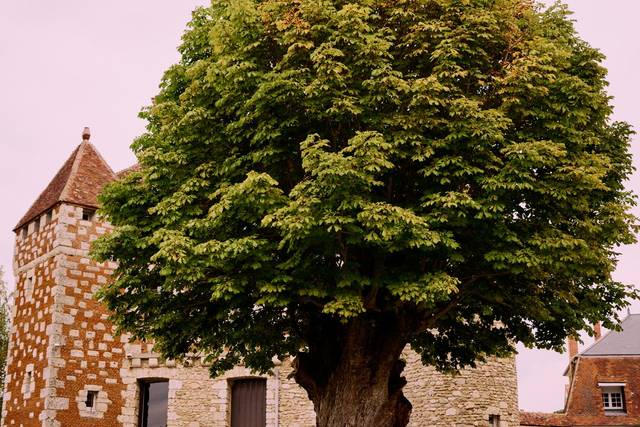 Château de La Trye 4