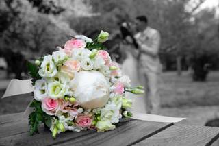 John Karl Photography - 16