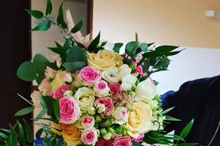 At'Homes Crochus - 5