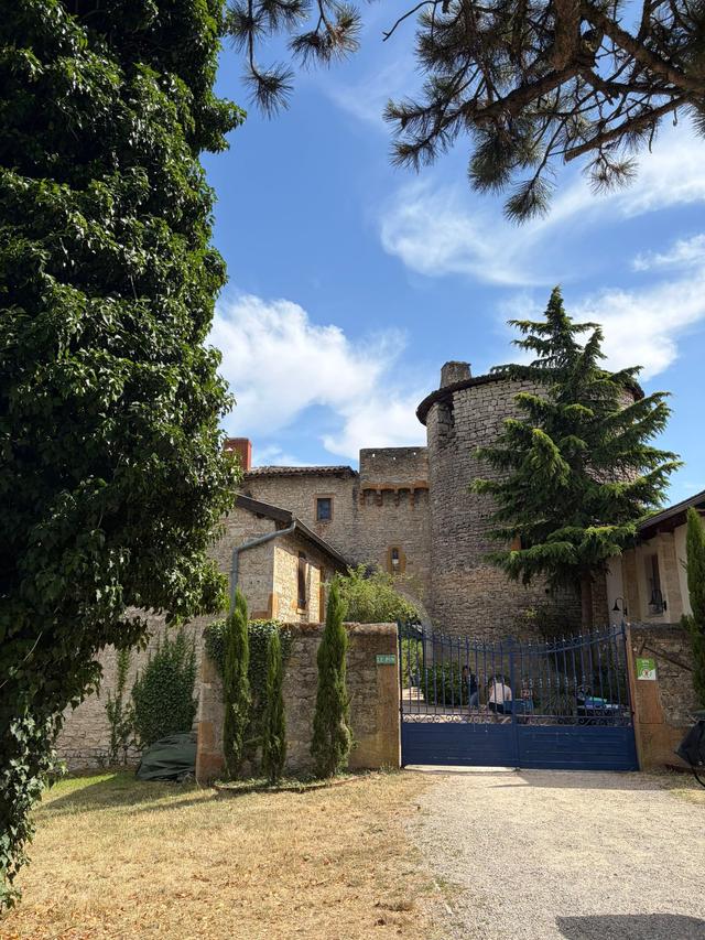 Château du Pin - 2