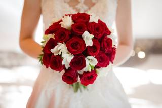 Mariecarlota Photographie - 9