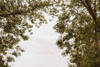 Alison M Photographe - 1