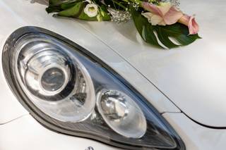 Wedding Dreams - 7