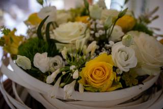 Fred Harnois Photographies - 7