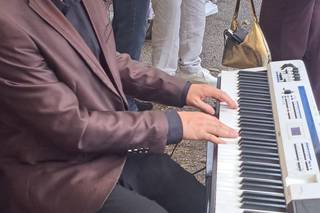 Mariages Sauvages - Dj et pianiste - 10