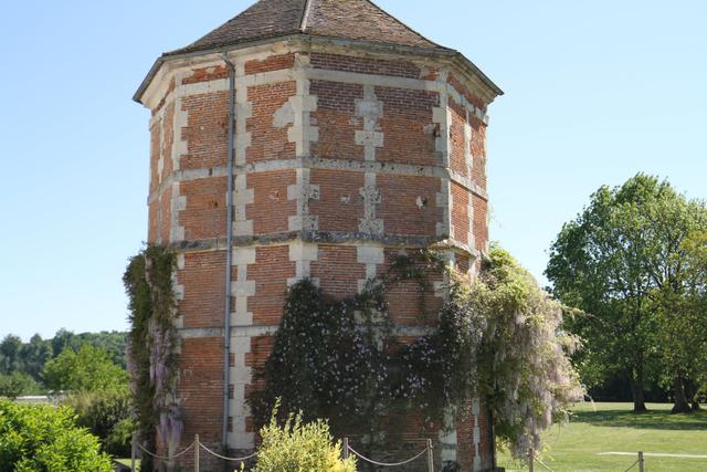 Les Gîtes de Saint Rémy - 3