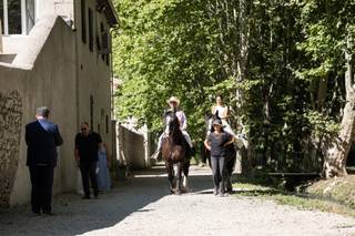 Provence-Caleche-Tradition - 6