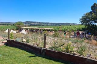 Domaine de la Grande Canague - 13