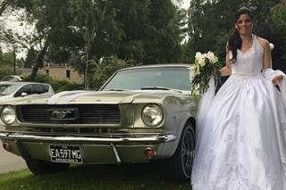 Mustang66 - 9