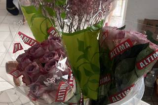 France Fleurs - 10