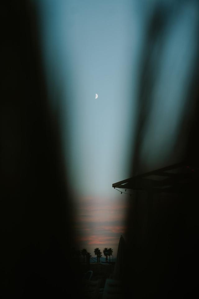 Laura Sardella - 1