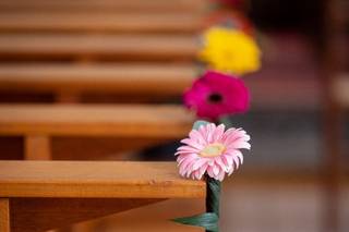 Un tour au Jardin - 10