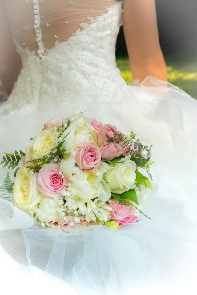 Gypsophile - 2