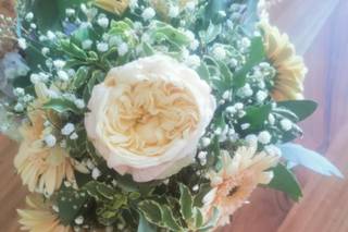 Tons Pastels Evénements - 16