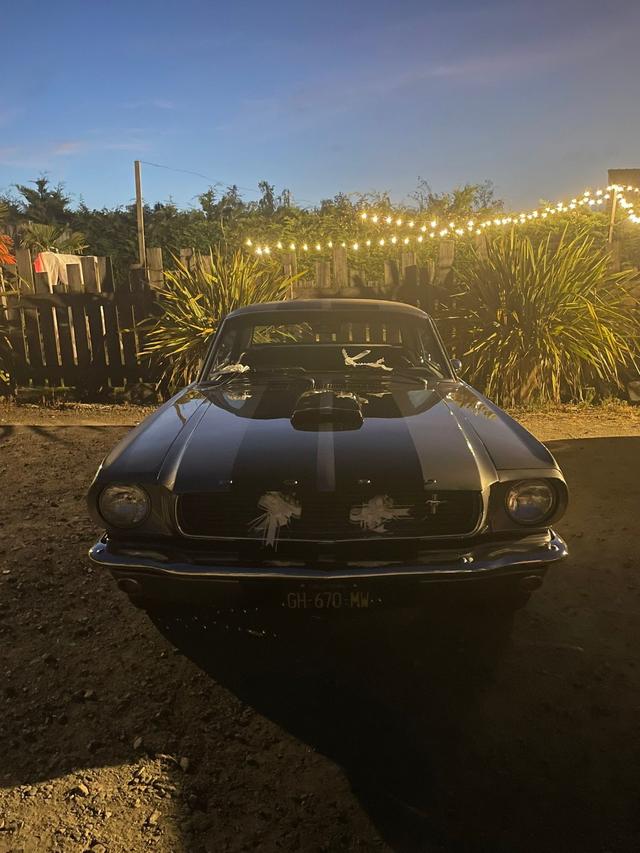 Mustang 66 - 2