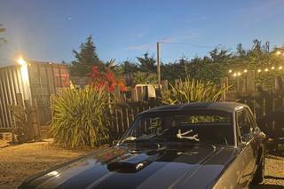 Mustang 66 - 9
