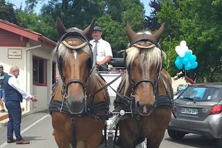 Calèches Autrot'Mant - 5