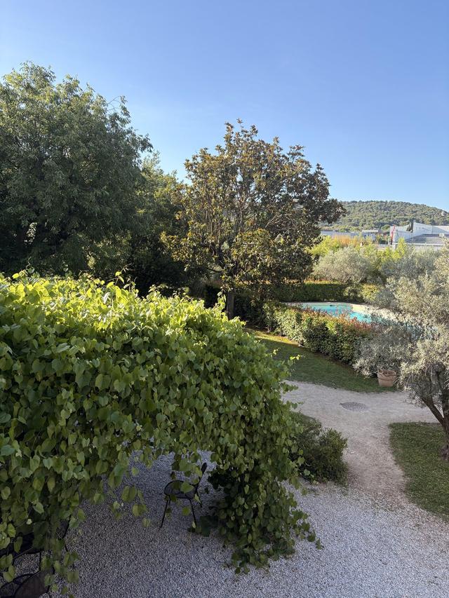 Le Mas sous le Marronnier - 2
