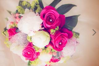 Miss-Pics - 7