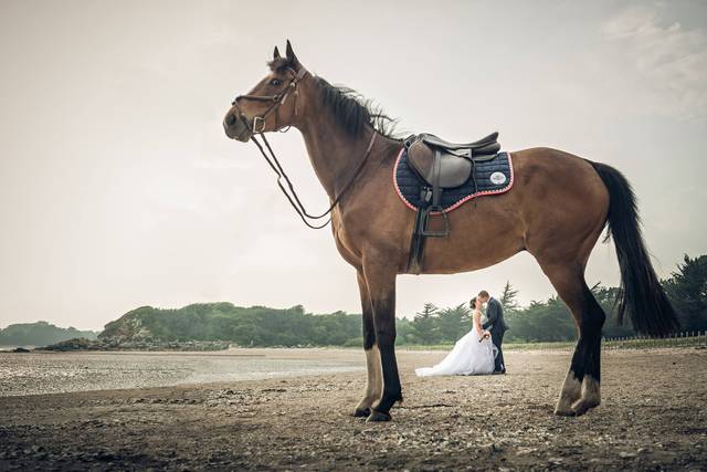David Bignolet Photographe 4