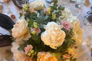 Les Fleurs d'Agrippine - 5