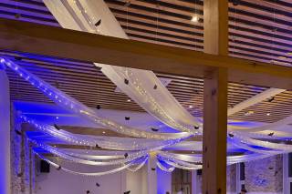 Cocktail Music Animations - 19