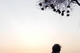 Voyage & Solution - 6