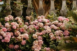 Fabiani Sambalis Photographe - 24