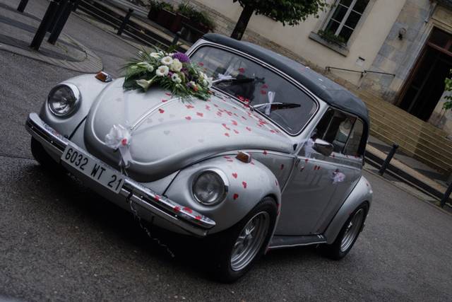 Cox Cabriolet 4