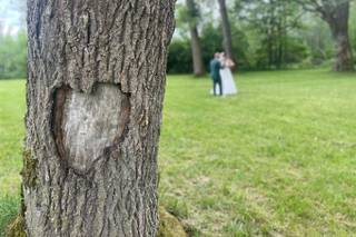 Château des Aulnes - 11