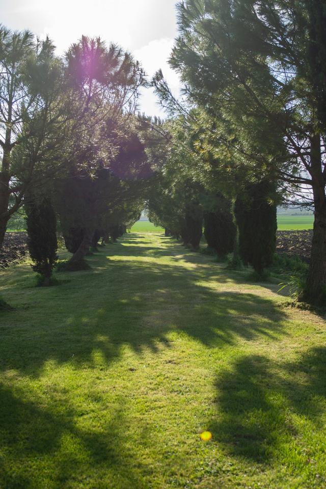 Château de Théon - 2