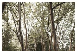 Tompic's Photography - 17