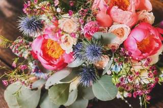 Prescilla Photographie - 1