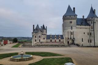 Château du Coudray Montpensier - 14