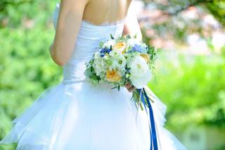 Jaune Pivoine - 11