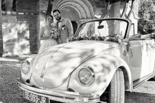 Les Coccinelles en Bourgogne - 11