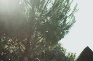 Tartoprune - 6