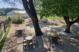 L'Oasis du Saule - 9